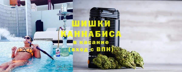 гашик Каменка
