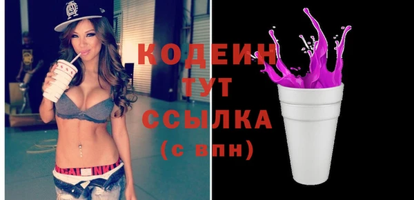 гашик Каменка