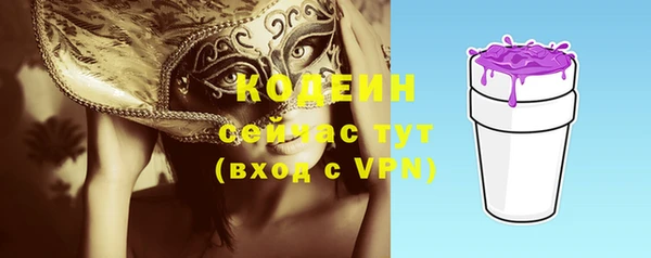 гашик Каменка