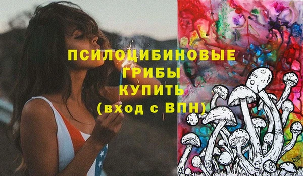 дживик Каменногорск