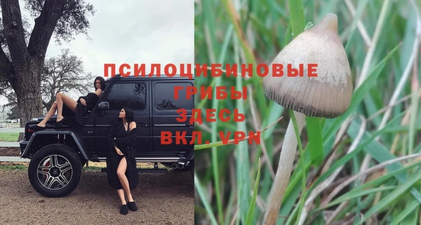 каннабис Каменск-Шахтинский