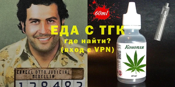 гашик Каменка