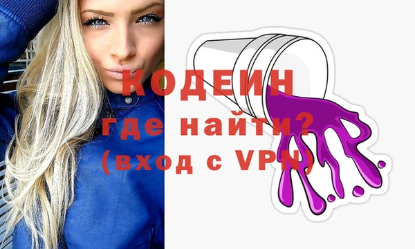 гашик Каменка