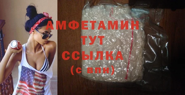 гашик Каменка