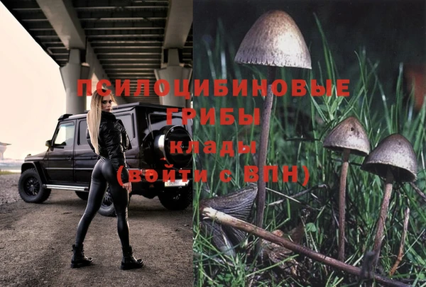 гашик Каменка