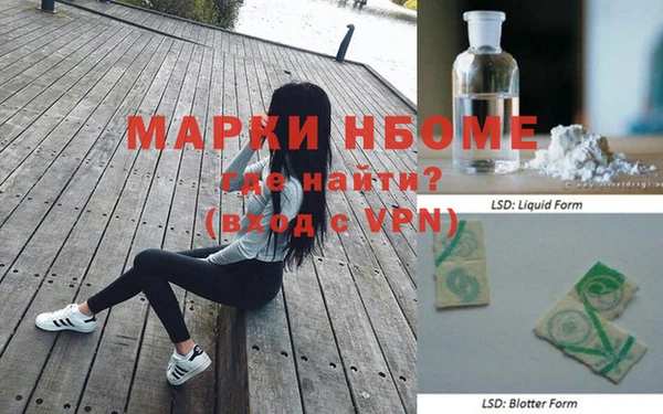 гашик Каменка