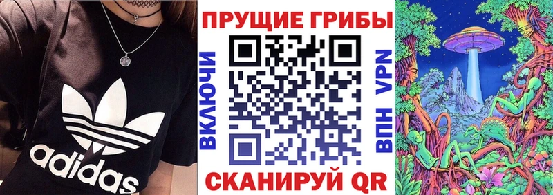 Купить  Воркута  Псилоцибиновые грибы мухоморы 
